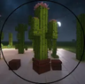Evol's 3D Cactus Overhaul