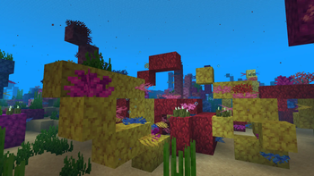 Coral reef 3