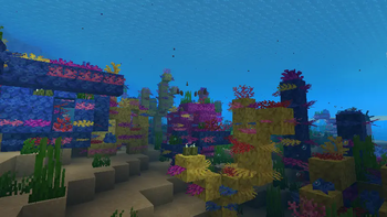 Coral reef 1
