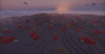 Mushroom fields