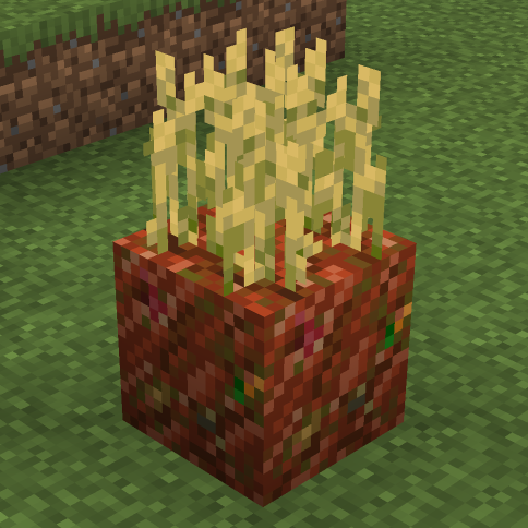 Rotten Flesh Farmland