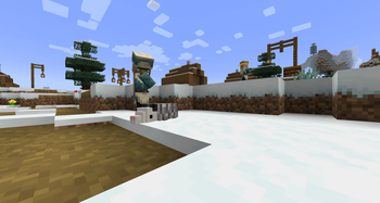 Opossum in a village