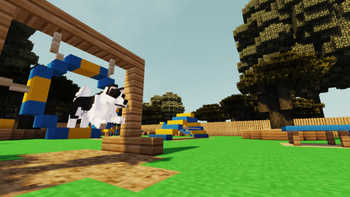 Border Collie (posed for showcase)