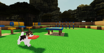 Jack Russell Terrier (posed for showcase)