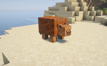 The glyptodon