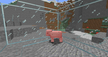 Flies around the pig