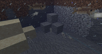 New squids
