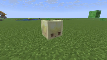A sulfur cube