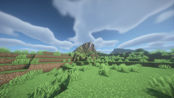 Shaders Support