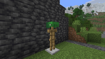 Turtle Shell