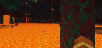 what it looks like in the hell