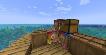 Ocean Crate