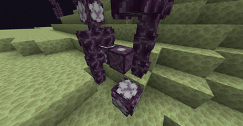 Chorus Crate