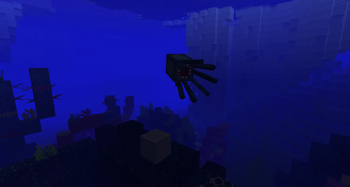Cold Reef