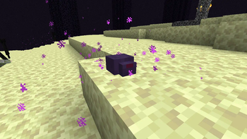 Endermite