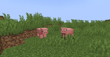Fake Pig Next To Real Pig