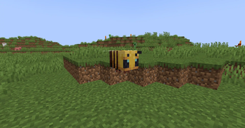 I Forgot The Bee
