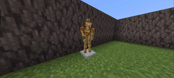 Custom Totem Texture