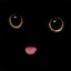 Kateroo