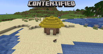 Beach with New Features