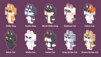 List of Patterns