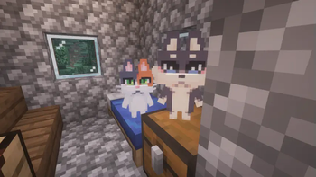 Cat and Dog