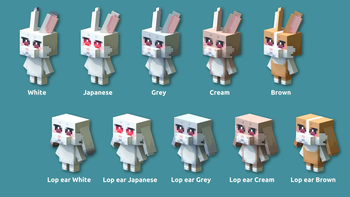 rabbits