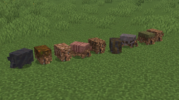 All variations of armadillos