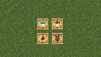 Items