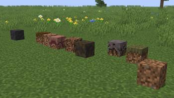 All variations of armadillos in the scute