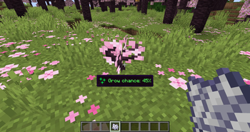 Hover Hints