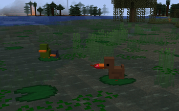 Sitting ducks