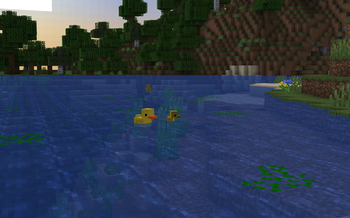 Swimming ducks