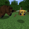 Bear Minimum