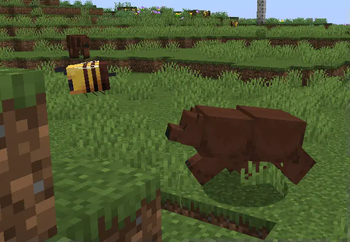 Bees