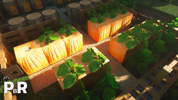 Pumpkins