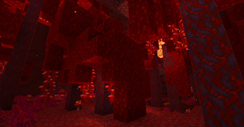 Nether