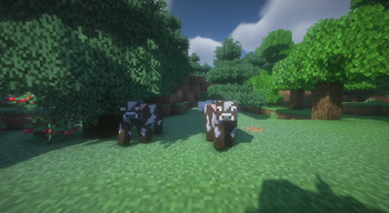 Beautiful shaders, mobs and trees