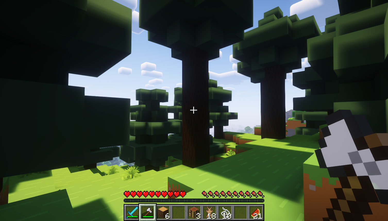 Minecraft screenshot showing a spruce tree in a spruce forest