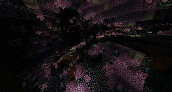 Amethyst Mines