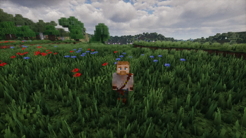 Grasslands 6600
