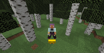 Speed Stupidnesser rided
