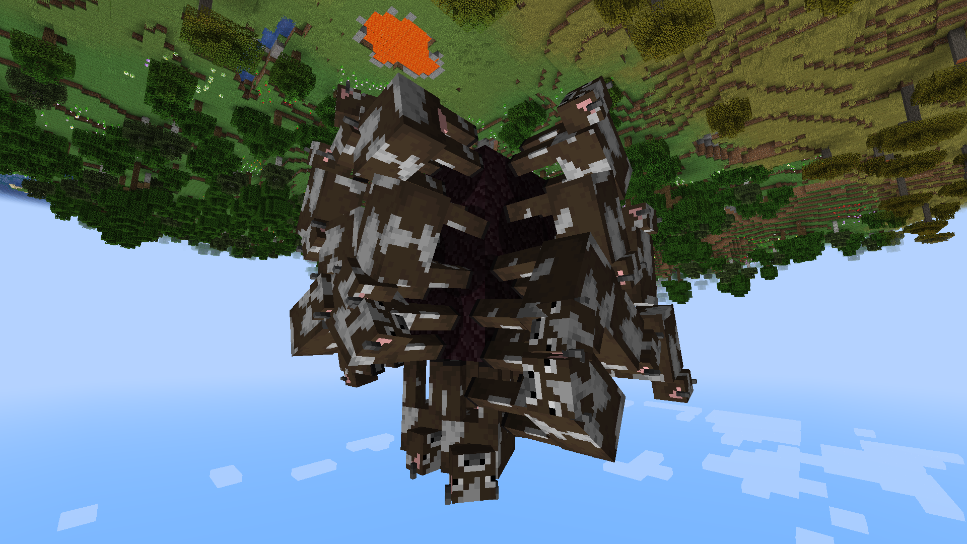 IDK what's happening here
(Lots of cows arround gravity blocks)