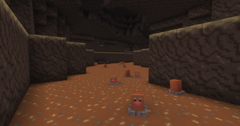 Diglett`s Cave