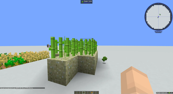 Ungrown sugarcane