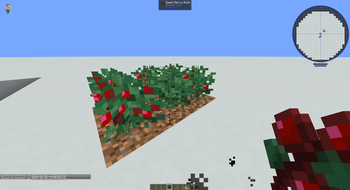 Grows berries too!