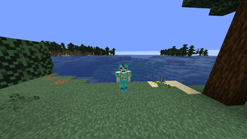 Trims on Diamond Armor