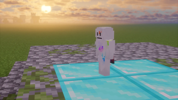 Custom Skin
