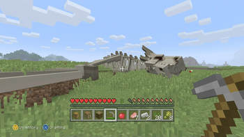 Dragon corpse on beautiful plains!