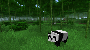 Early Release - Bamboo Jungle